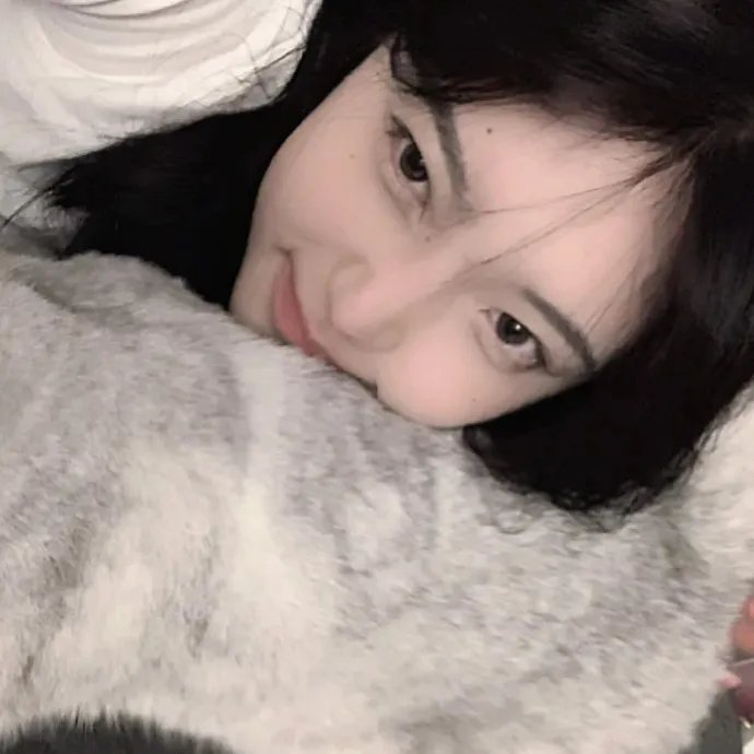 挪威的抵抗